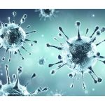 CAN COVID CORONAVIRUS BE TRANSMITTED BY PESTS