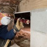 Termite treatment for foundation